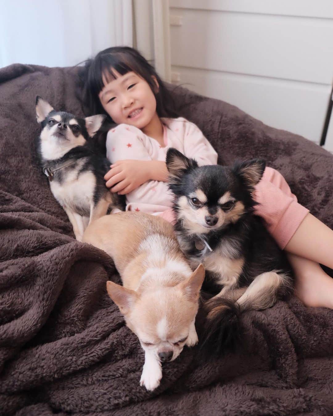 maika_kikitoyjijiのインスタグラム：「. こなっちゃんには 気を許すようになって来た気がする🤔 . 関係性は前々から悪くはないけど、 やっぱり小型犬は身体が小さいから 自分を守る為にも子供達の 予測不能な動きには 敏感だし苦手だよね🤔💦 . 私もそこで寝たい❤️ . . #犬スタグラム #犬との生活 #犬と暮らす #犬すたぐらむ #犬服ハンドメイド #犬写真 #犬かわいい #犬グッズ #チワワ好きな人と繋がりたい #チワワ親バカ部 #チワワのいる暮らし #チワワ多頭飼い #チワワ部 #チワワなしでは生きていけません会 #チワワのいる生活 #チワワスムース #チワワン #チワワlove」