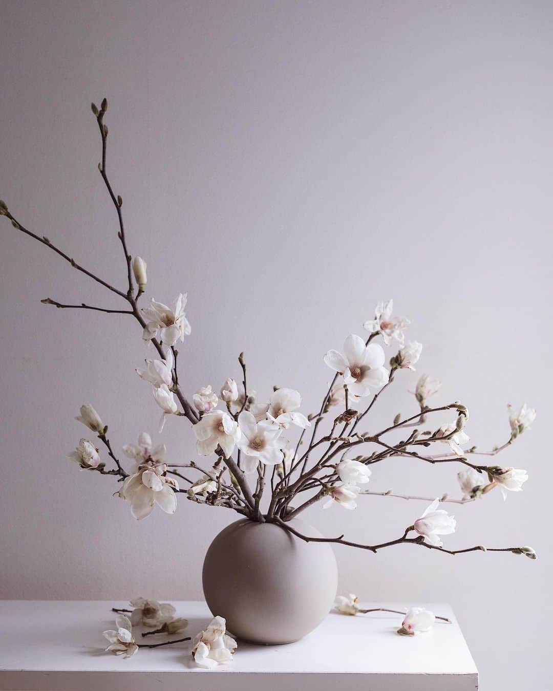 増田由希子のインスタグラム：「Magnolias🤍 #magnolia #magnolias #divinescent #myfavorite #cooee 部屋中甘い香りが広がっています。 #白木蓮　#甘い香り」