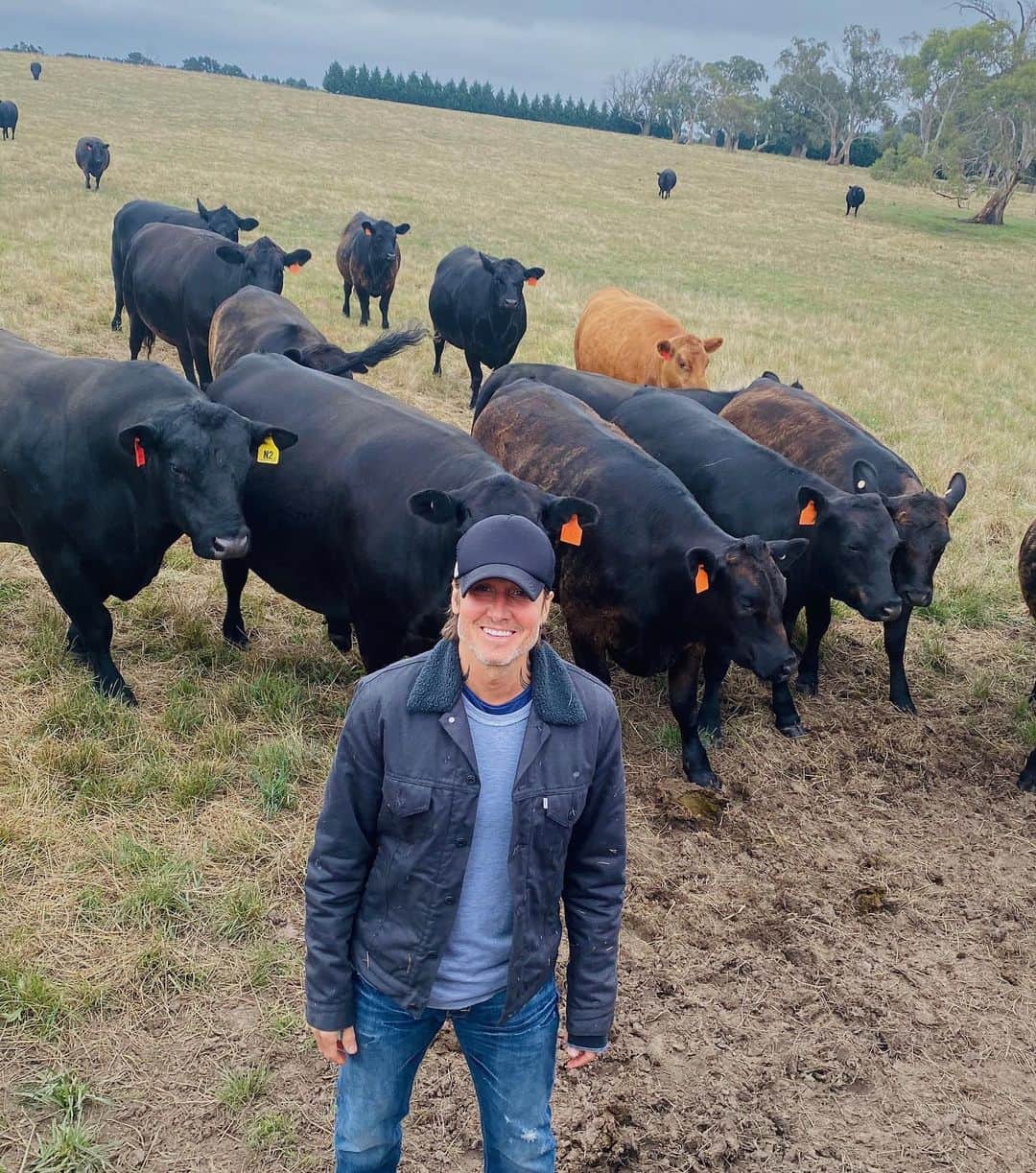 キース・アーバンのインスタグラム：「this must be why i like being around cows 👉」