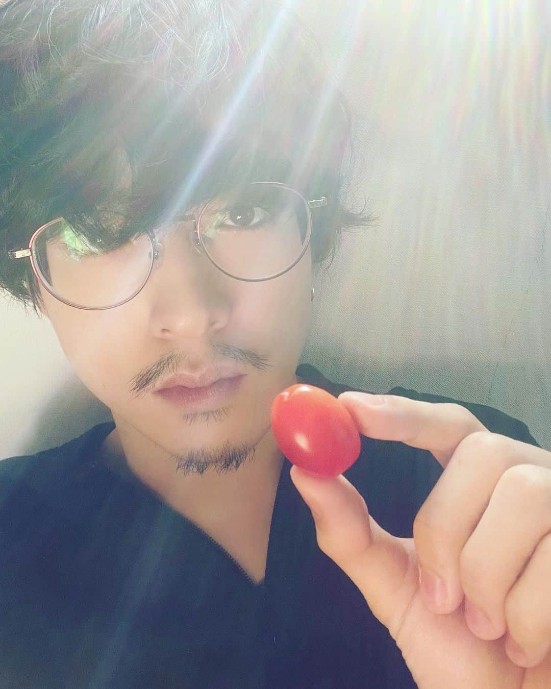 上遠野太洸のインスタグラム：「トマト美味しい。 朝日がすごいことになった 後光的な  #トマト」