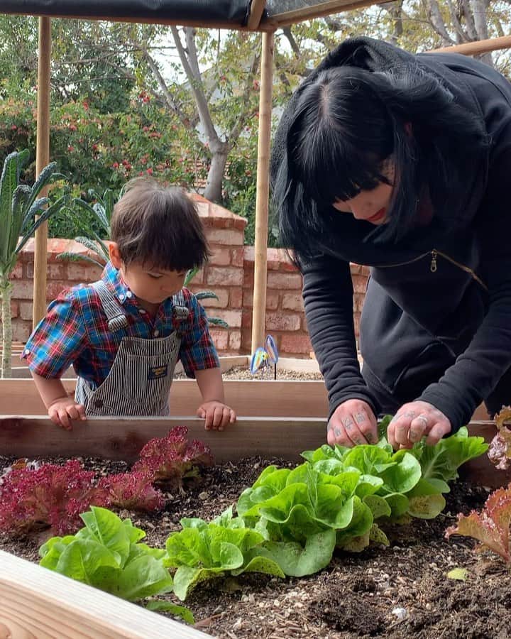 Kat Von Dのインスタグラム：「@prayers and I are going to teach our son everything we know about growing your own food. ❤️🌱 Special shout out to @seedandsol for helping us make our raised beds, and turning a small part of our backyard into our veggie garden, and to @thehungrygardens for hooking us up with seedlings. ❤️ #growyourownfood」