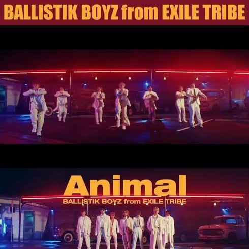 BALLISTIK BOYZ from EXILE TRIBEのインスタグラム：「"Animal" MUSIC VIDEO  OUT NOW.  #BALLISTIKBOYZ #BBZ  #BBZ_Animal #AnimalMonth   https://youtu.be/yq9GenoeEJs」