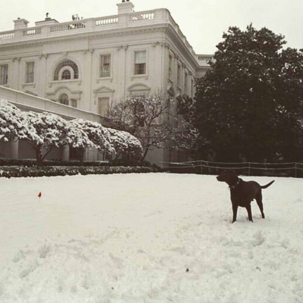 ヒラリー・クリントンのインスタグラム：「Buddy in the snow, January 20, 2000, via @wjclibrary42. Wishing everyone hit by the storm a good snow day—stay safe and warm!」