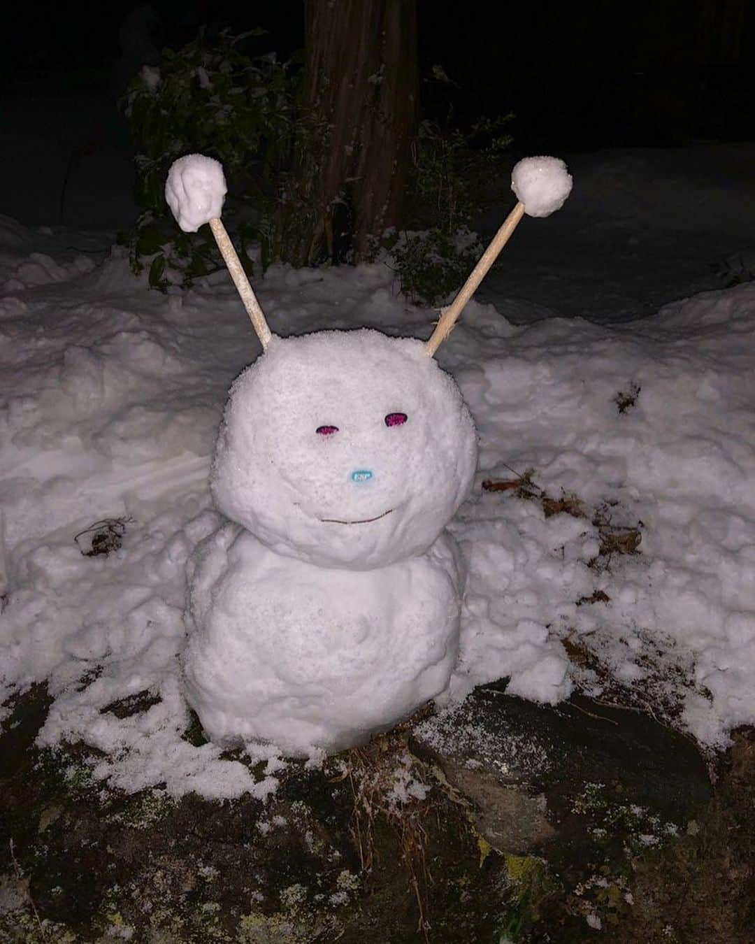 トキのインスタグラム：「インスタ映えな雪だるま⛄️ 作ったのにインスタに投稿するの忘れとった！ 目はトキピック 鼻はESPピック 耳はドラムスティック🥁 めっちゃかわいいと思ったらいいねしてね(*☻-☻*)！💖 #雪だるま　#snowman」