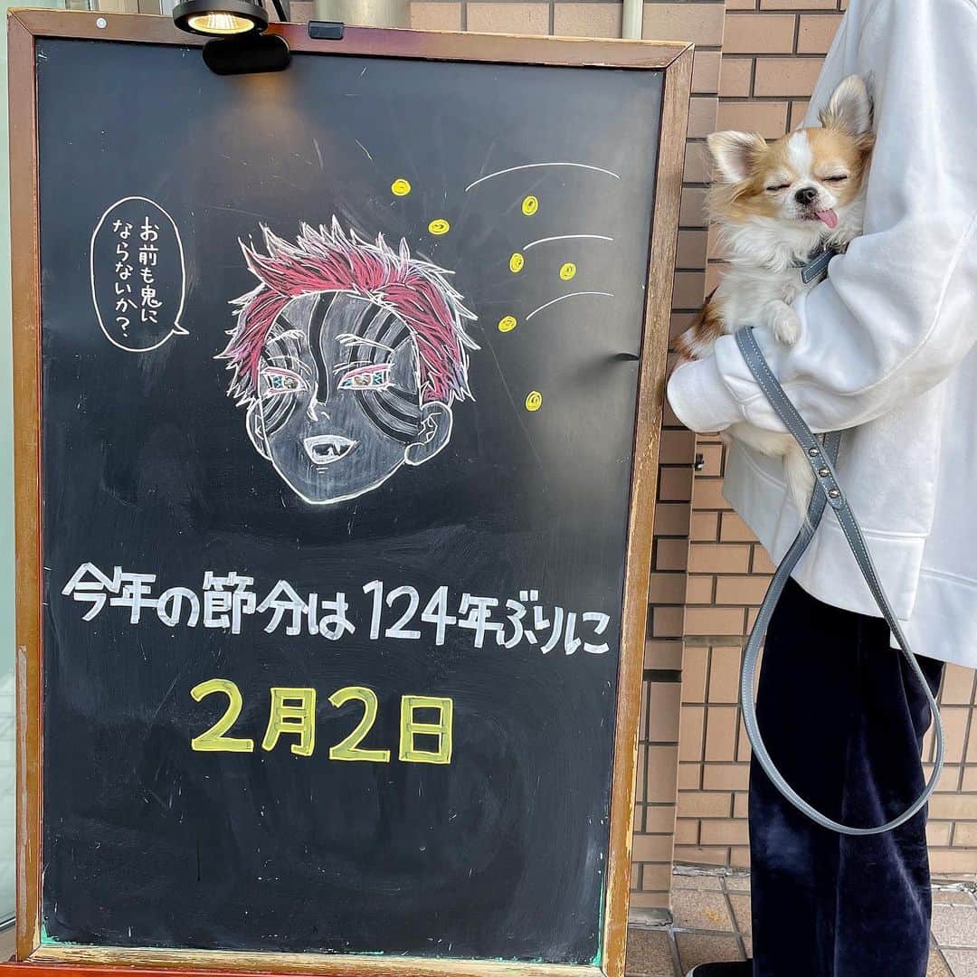 ちまのインスタグラム：「Demon Slayer with Japanese traditional event “Setsubun”.👹 ・ 猗窩座殿が豆投げられながら豆知識を教えてくれた😆 ・ #鬼滅の刃 #猗窩座 #DemonSlayer #Akaza #鬼滅の刃イラスト #猗窩座イラスト #DemonSlayerFanArt #節分 #ちま #チワワ #chihuahua #ชิวาวา #PECOいぬ部 #WeeklyFluff #dogs #dogsofbark #chihuahuaaddict」