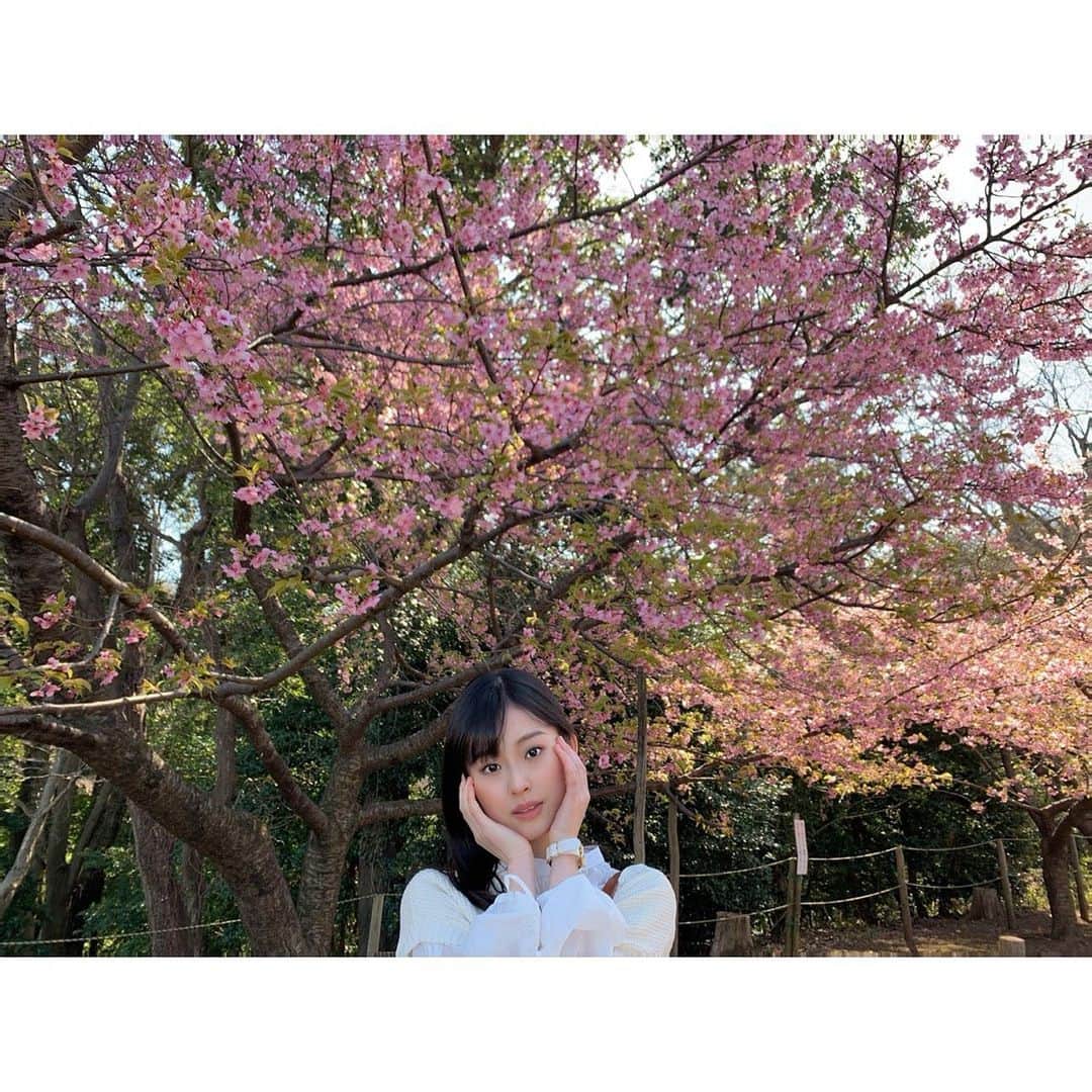 井本彩花のインスタグラム：「.  今日はとある撮影を。︎ 解禁されましたらまたご報告させていただきます！ ほぼ満開の桜と一緒に。😊❤️ 春を感じますね🌸  #もうすぐ #春だよ #🌸 #井本彩花」