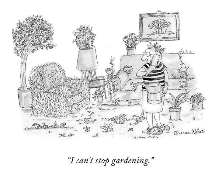 The New Yorkerのインスタグラム：「It’s spring on the inside! #NewYorkerCartoons 🖋 Victoria Roberts」