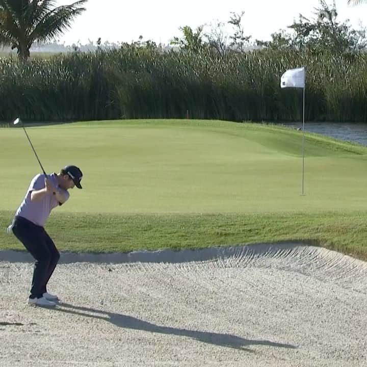PGA TOURのインスタグラム：「Eagle on 17 to take the lead @PuertoRicoOpen? CLUTCH. 👏🦅」