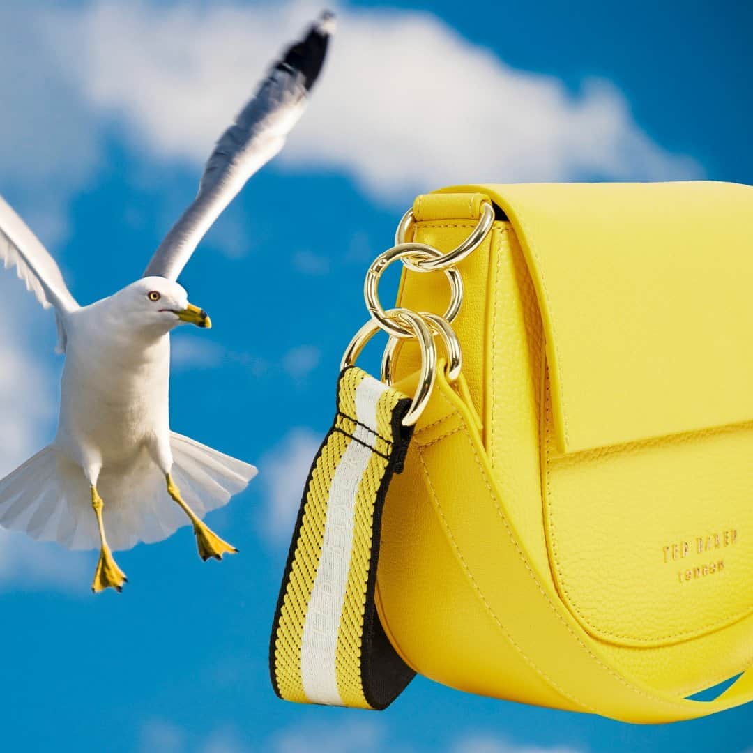 Ted Bakerのインスタグラム：「Bright new bags swooping in.  (Round cross body bag: AMALI)」