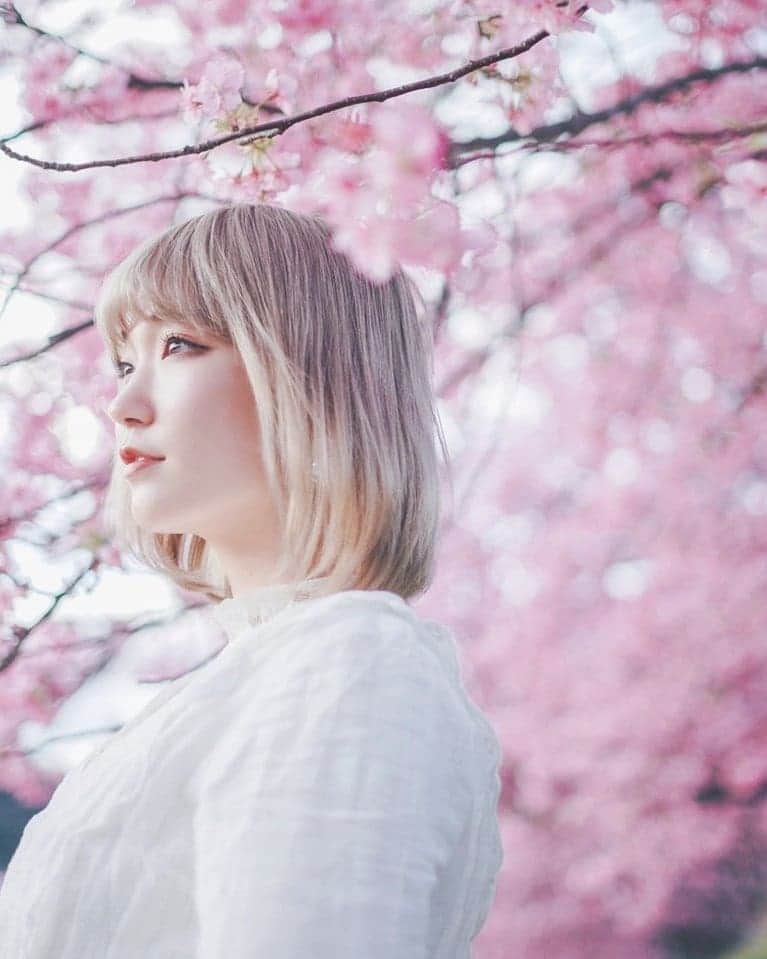 高橋伸哉のインスタグラム：「桜撮影の準備が終わりました。いよいよ春の到来。 . . #桜  #portraitphotography  #photography  #写真作家  #写真家」
