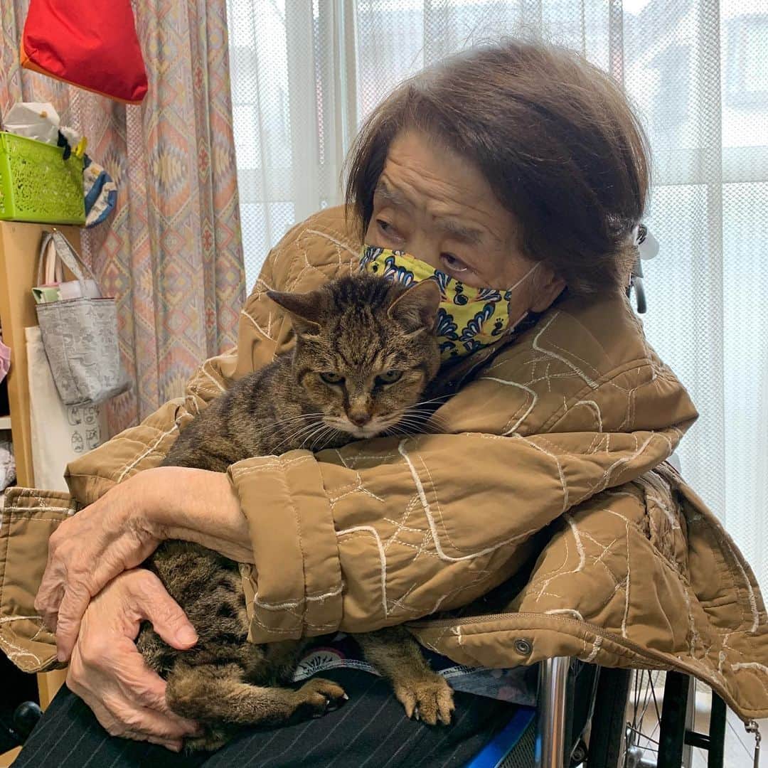 Kachimo Yoshimatsuのインスタグラム：「デイサービスお迎え前の抱っこ。 Mother & Cocoa #バーバ #バーバと猫 #cocoa  #うちの猫ら #猫 #ねこ #cat #ネコ #catstagram #ネコ部 http://kachimo.exblog.jp」
