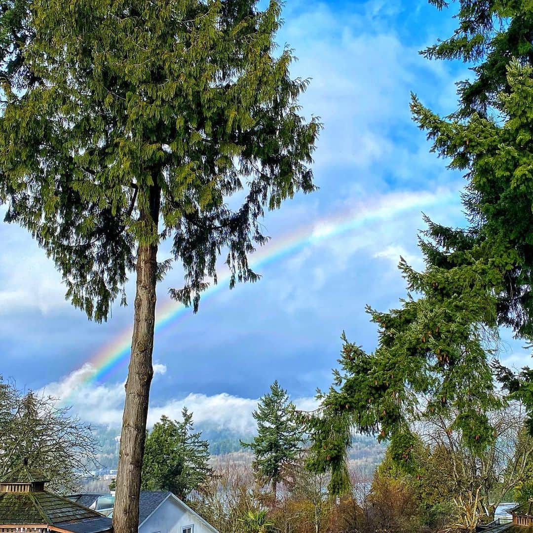 ジェームズ・ガンのインスタグラム：「Rainbow in Vancouver yesterday right before I heard Atlanta was adopted. ❤️🙏」