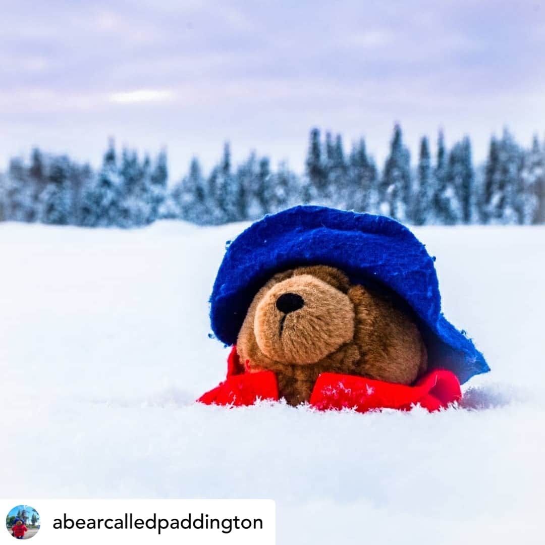 Paddington Bearのインスタグラム：「Our friends in Sweden have been experiencing some slightly colder weather than the rest of us!⁣ ⁣ Paddington is loving his adventures in this winter wonderland!⁣ ⁣ 📸 @abearcalledpaddington」