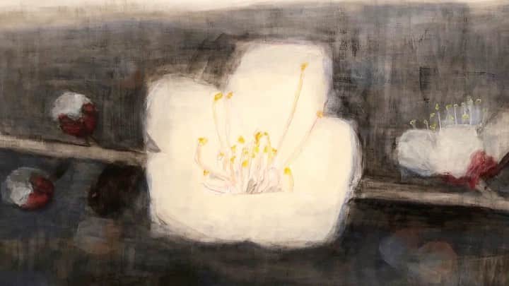 Uzo Hiramatsuのインスタグラム：「来た来た…。 Spring is here.  #梅 #fukuoka #contemporaryart #painting #drawing #mixedmedia #flower」