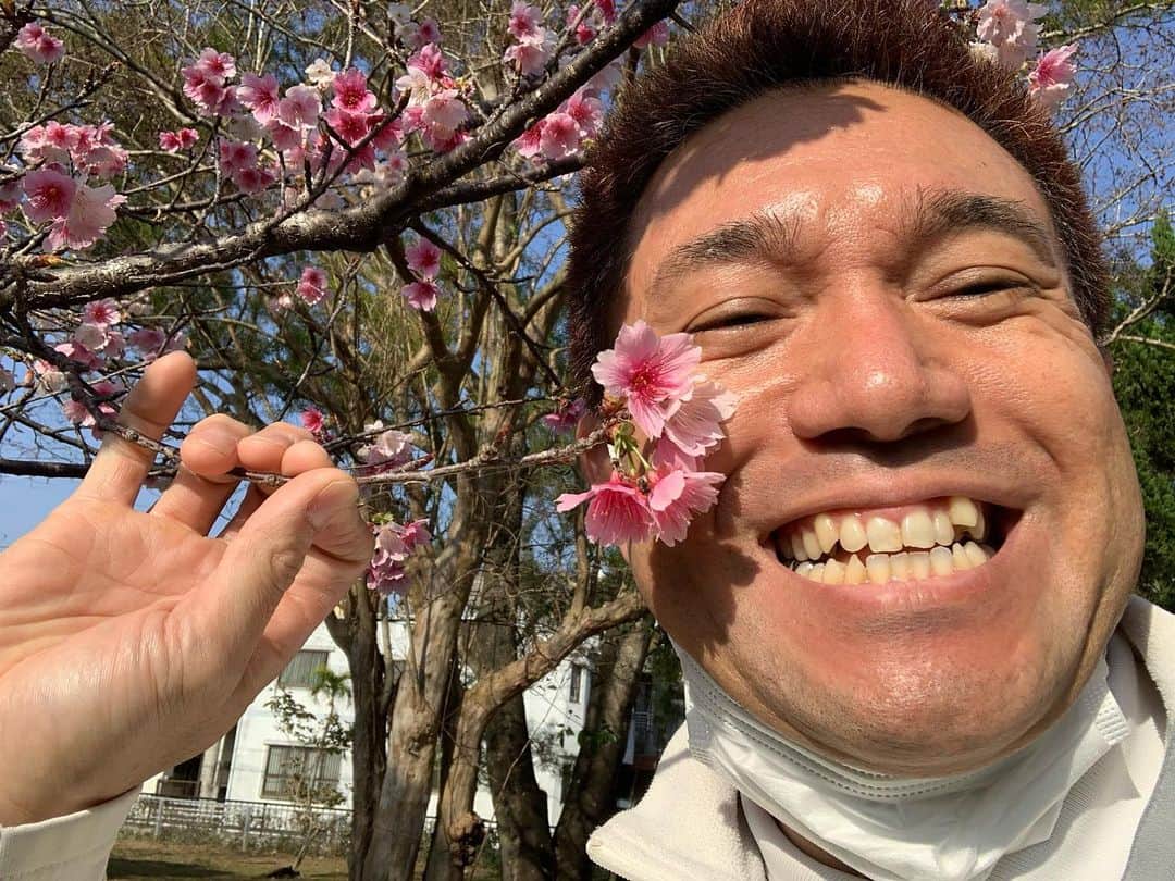 パッション屋良のインスタグラム：「今日の沖縄は情熱的に暖かいんだねー。 半袖でも問題なく過ごせるんだねー。  沖縄では、一足先に桜が見どころなんだね🥰  今日のロケも情熱的に行こう！だね。  #ネクスターズ #情熱応援番組  #沖縄テレビ #otv #パッション屋良」