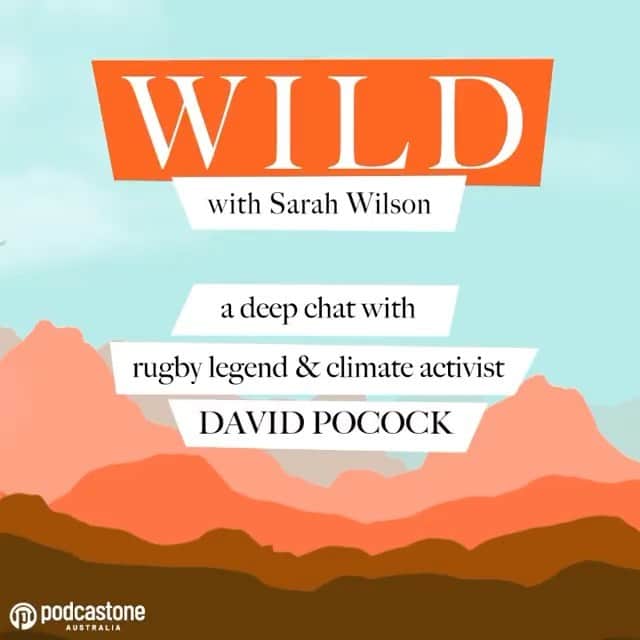 デビッド・ポーコックのインスタグラム：「I enjoyed catching up with @_sarahwilson_ on her new podcast and talking rugby, life, meaning and a lot more. Out now wherever you listen to podcasts.   #Repost from @_sarahwilson_  Prepare to be surprised...My chat with @davidpocock gets still and sad and raw. We are part of nature. We all know that...  Link is in the bio or you can find Wild with Sarah Wilson on all podcast platforms 🌿」