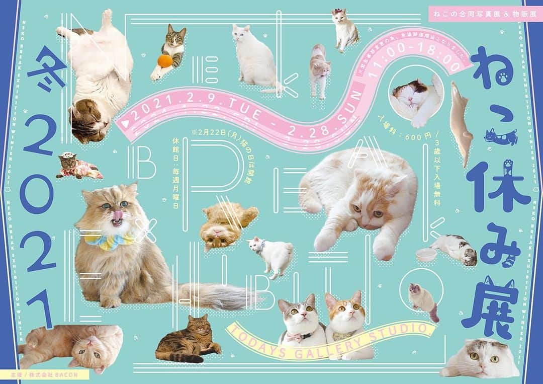 プンクマのインスタグラム：「東京浅草橋で開催中のねこ休み展。 今回のテーマは、NHKでも放送中の「もふもふモフモフ　猫の楽園」でお馴染みの薔薇の森の猫達です。 館内は感染症対策を施したうえで皆様のお越しをお待ちしております。 #ドリプレローズガーデン #薔薇の森の猫達 #ガーデンパトロール隊 #猫 #ねこ #ねこ休み展 #cat #neko #catstagram #catsofinstagram」