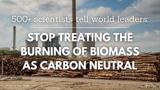 グレタ・トゥーンベリのインスタグラム：「"Regrowth takes time the world does not have to solve climate change” Over 500 scientists tell world leaders, to stop treating the burning of biomass as “carbon neutral”.  ”You can help end this madness.” Link in bio #StopFakeRenewables」