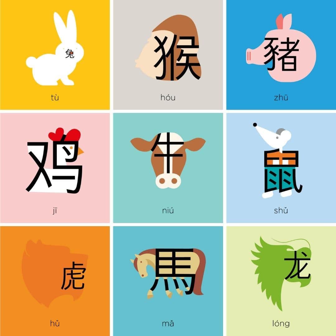 TED Talksのインスタグラム：「Happy Lunar New Year! It’s officially the Year of the Ox. Lunar New Year is based on the Chinese zodiac, a 12-year cycle in which a different animal represents each year. Chineasy — a visual learning system to read and write Chinese — created these amazing illustrations of the animals (accompanied by their corresponding characters). Chineasy founder ShaoLan Hsueh says the zodiac system exerts a surprising amount of influence over many people’s lives. “If you ask people in China if they believe in the zodiac, many will initially say, ‘No, no. We are modern," she explains. "But if you ask them when they want to have children, they’ll say, ‘Hey, it’s not a bad idea to have a Dragon baby." Visit the link in our bio to see more of these designs and learn more about how the Chinese zodiac can shape some people's decisions and beliefs.」