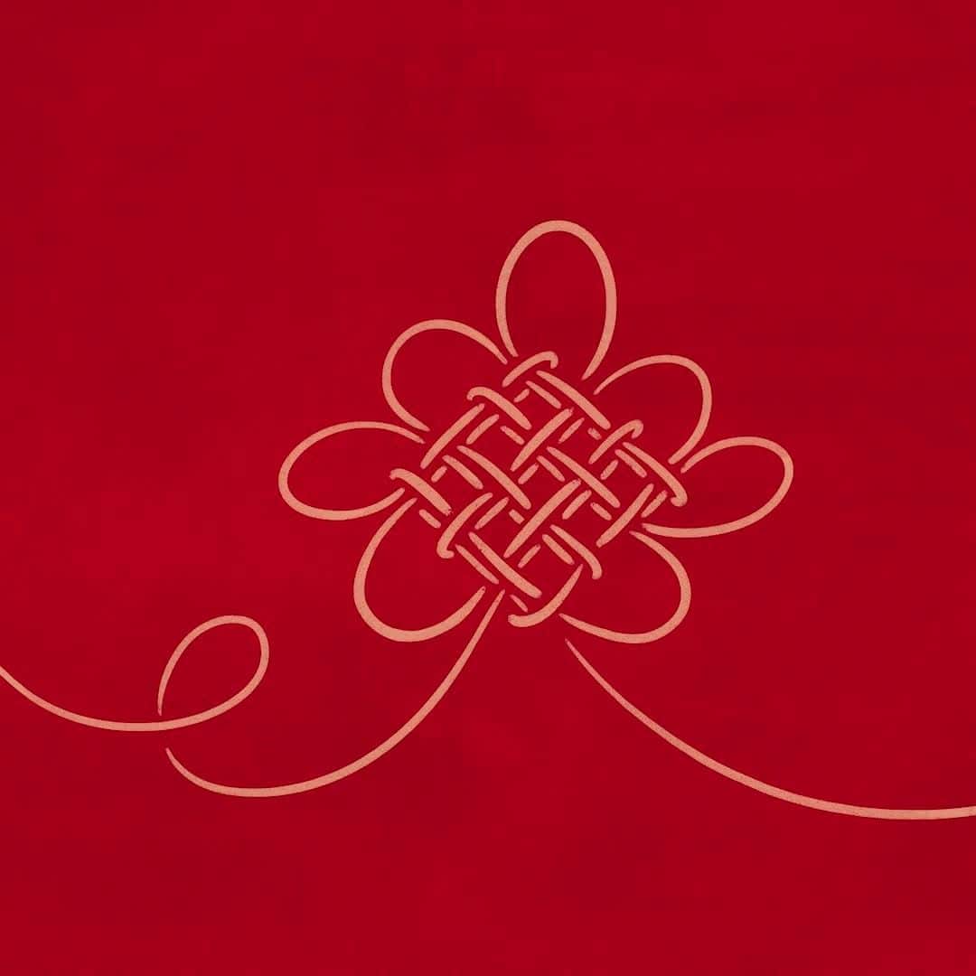 イソップのインスタグラム：「The Eternity Knot: a timely symbol of enduring ties. There is a Chinese saying that you cannot untie the strong knots that bind our fates to each other (結不解緣), which feels particularly fitting for the Year of the Ox. The Endless or Eternity Knot is a reminder of this. Thanks to our enduring connection to those we treasure, we remain together, wherever. Illustration and animation by @kamidamikim, sound by @funkynutmeg.」