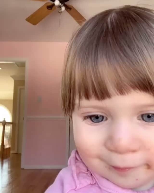 Daily The Best And Funniest Videosのインスタグラム：「„I had left it open to record“ 😂 By @vada.rada」