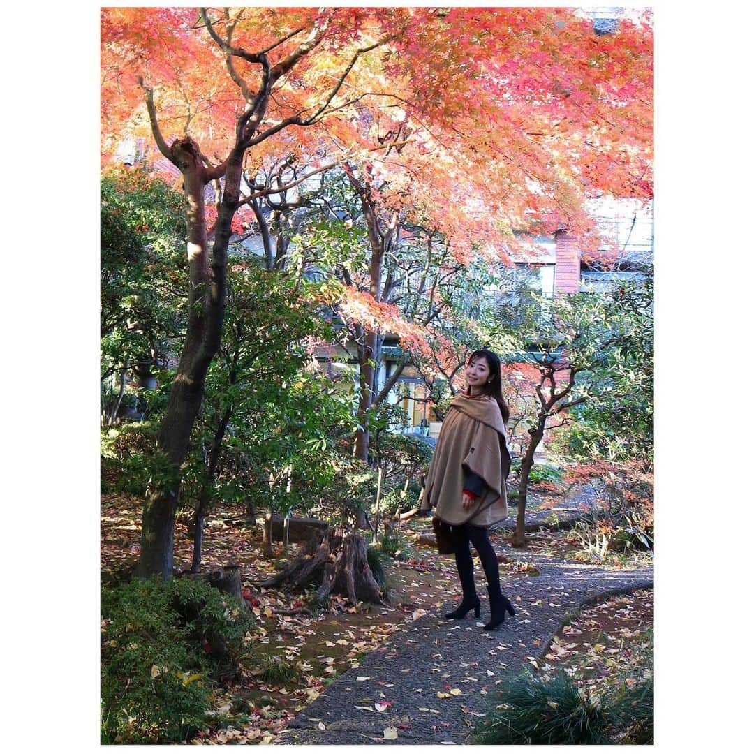 山崎直子のインスタグラム：「どんなSNSより やっぱり 会いたいんだな❗️  #昭和の女 だからね#いつかの #お散歩日和 ここ人が居なくて穴場だった✨#takeawalk #forestbathing #ig_japan #東京散歩 #🚶‍♀️」