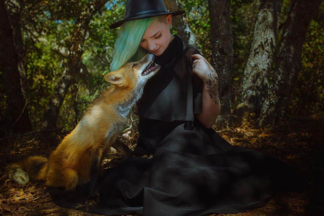Rylaiのインスタグラム：「I can spend an eternity by your side! And every second of that eternity, I will be grateful for your comfort, love, loyalty, and joy! #animalhumanbond . Model: @rachelkoeppenphotography  Fox: Viktor Photographer: @chriskphotos  . . . . #photoshoot #connection #loyalty #fox #viktor #eternity #animal #animals #photooftheday #photography #animalphotography #jabcecc #nonprofit #animalsofig #foxesofinstagram #animallovers #animallovers #together #watchme #animalencounters #russiandomesticatedfox #redfox #exotic #photographylovers」