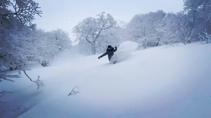 上田ユキエのインスタグラム：「箕輪のシャンパンパウダー❄️ @igarashi1305 @riku_us @minowa_ski #japow #tohoku #snowboarding #k2wildheart」