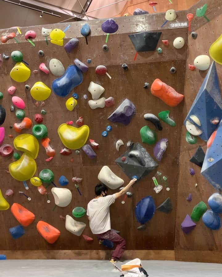 石松大晟のインスタグラム：「・﻿ クライミング歴13年くらいなんだけど、﻿ それでもまだ新しい気付きがある。﻿ 深い。﻿ ﻿ #climbing #bouldering #climbing_videos_of_instagram #bouldering_videos_of_instagram」
