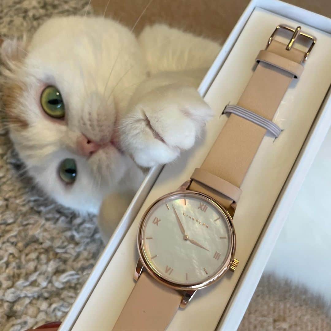 momo0224momomoのインスタグラム：「【PRです】とってもかわいい腕時計を 頂きました。そろそろ、春らしい時計が欲しいなぁと思ってたのですが。 とっても可愛いです！ ありがとうございます。  クーポンコード　momo0an64 10%オフになります。是非(  ˊᵕˋ )♡  #リアクレア   #時計 #腕時計 #liakulea #ハワイ」