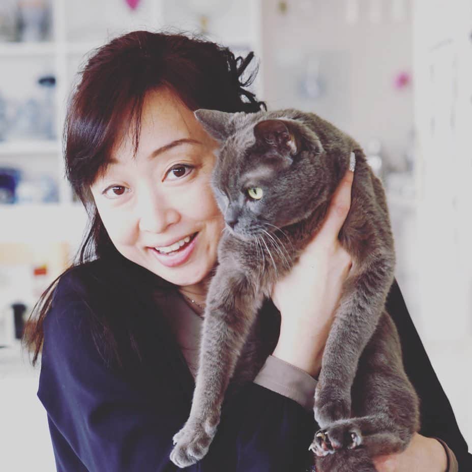 川上麻衣子さんのインスタグラム写真 - (川上麻衣子Instagram)「猫検定中級の私も応援とご協力をさせて頂いている「にゃんこゼミ」。 とても素敵な企画です。猫ちゃんを愛する多くの方にご参加頂けたら嬉しいです。よろしくお願いします。  https://www.kentei-uketsuke.com/neko/seminar.html」2月24日 11時38分 - neko_to_kyo