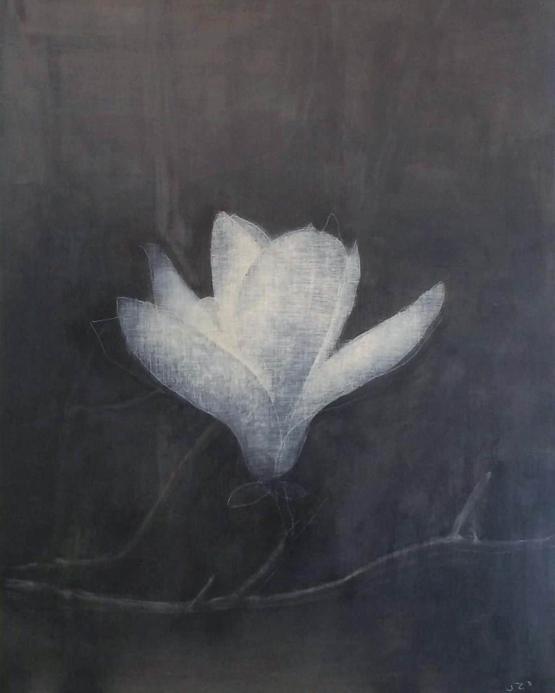 Uzo Hiramatsuのインスタグラム：「past work #エンクレスト #fukuoka #contemporaryart #painting #drawing #mixedmedia #flower #magnolia」