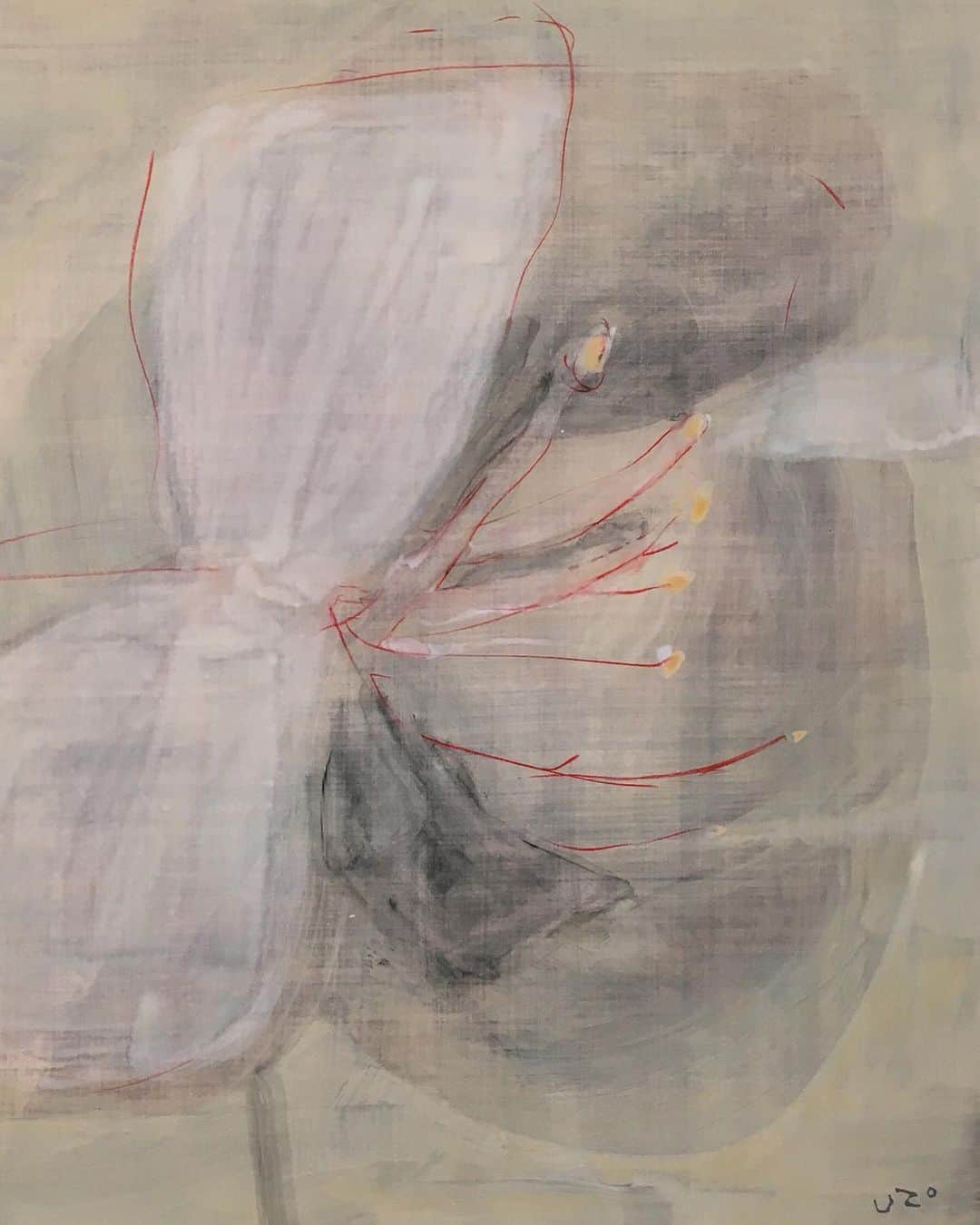 Uzo Hiramatsuのインスタグラム：「past work (fragment)  #春  #fukuoka #contemporaryart #painting #drawing #flower」