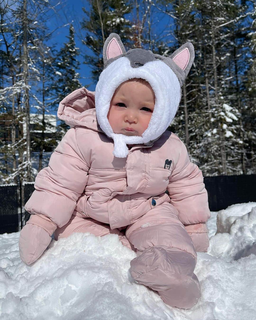 Elisabeth Riouxのインスタグラム：「Wolfie’s first time in the snow ⛄️ we have the same mood about the canadian winters, she’s just like her mommy 🥰」