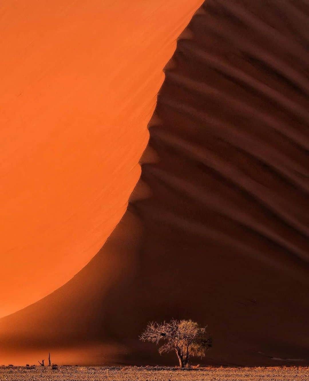Earth Picsのインスタグラム：「Sossusvlei Sand Dunes of the Namib Desert by @danielkordan」