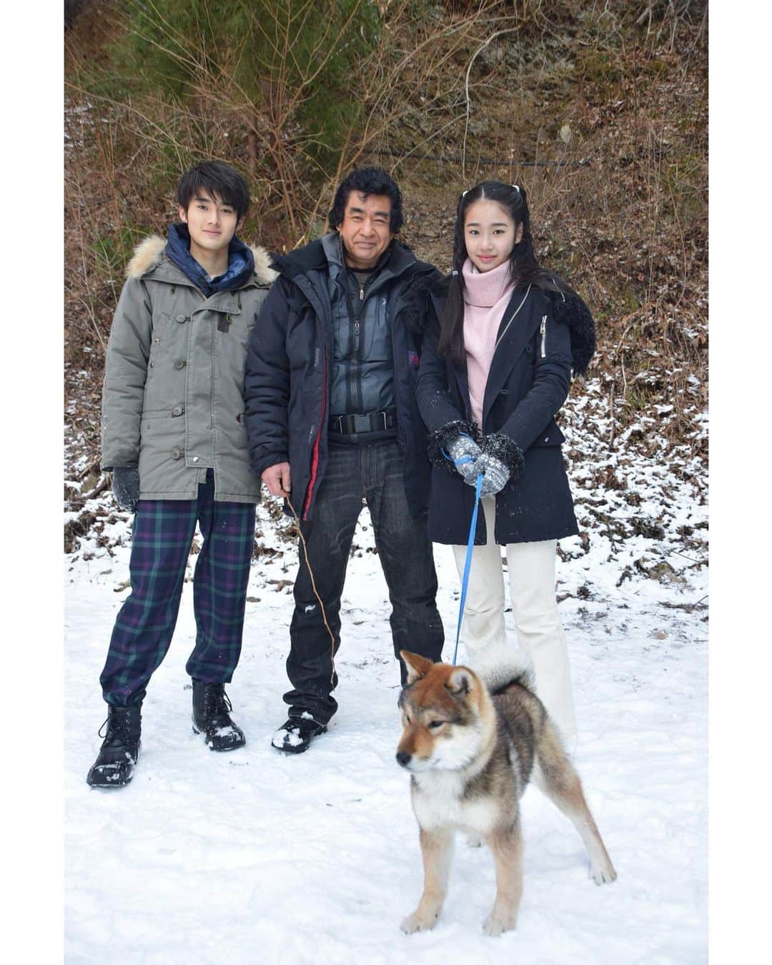 藤岡弘、のインスタグラム：「⭐︎⭐︎  もうすぐ✨今夜7時から放送の﻿ 「ILOVEみんなのどうぶつ園」(日本テレビ)﻿ では、藤岡ファミリーの「日本犬を育てる」のコーナーが放送‼️﻿ ﻿ 初めての雪❄️日本犬たちの反応は❓🐕﻿ 藤岡さんも、雪の中でのかわいい子犬たちの様子におおはしゃぎ⁉️﻿ ﻿ 今回も見逃せない﻿ 「ILOVEみんなのどうぶつ園」﻿ ぜひご覧くださいね♪﻿ ﻿ ﻿ @minnano_zoo_ntv  ﻿ #藤岡弘、#天翔天音 #藤岡真威人 ﻿ #天翔愛 #藤岡舞衣 #hiroshifujioka #amanetensho #maitofujioka #aitensho #maifujioka﻿ #iloveみんなのどうぶつ園 #北海道犬 #秋田犬 #紀州犬 #四国犬 #甲斐犬 #柴犬 #hokkaido #akita #kishu #shikoku #kai #shibainu #dog #日本犬 #japanesedog #love #family」