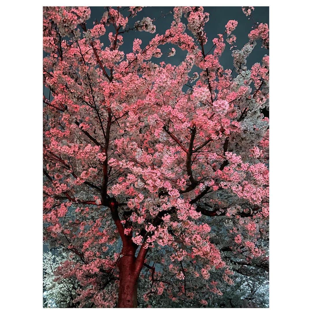 坂東龍汰さんのインスタグラム写真 - (坂東龍汰Instagram)「iPhone 12pro #タクシーのテールランプで赤くそまっちょった」3月28日 13時39分 - ryota_bando