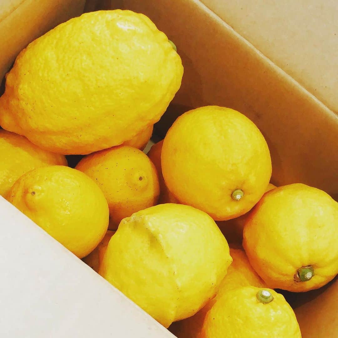 野久保直樹のインスタグラム：「☆ 瀬戸内レモン🍋 ☆ #瀬戸内レモン #ハイボール #レモンの蜂蜜漬け  #何しようかな」
