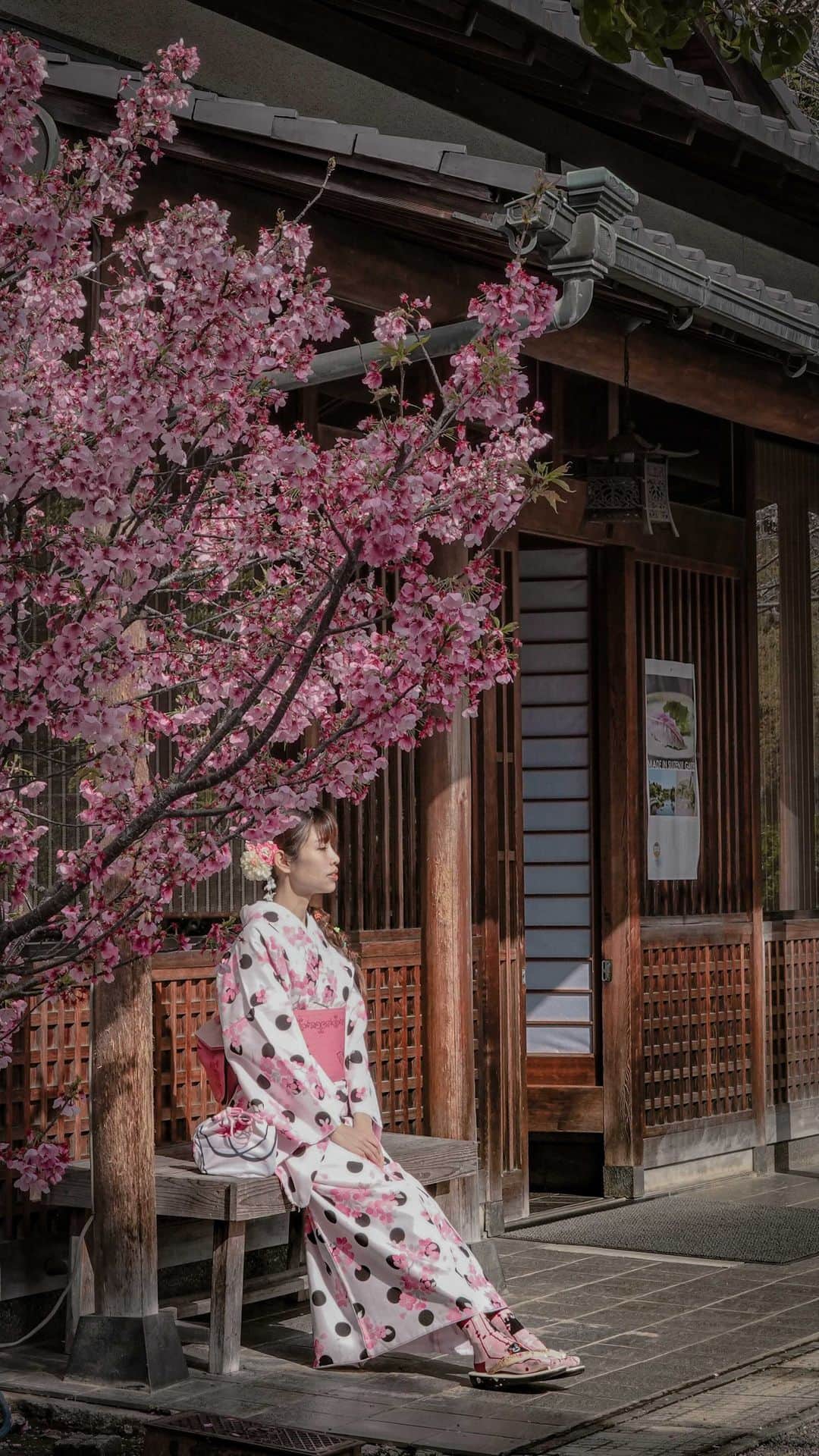 のインスタグラム：「【Suizenji Garden, Kumamoto】  My kimono is from @kimonomito, which is located right outside the garden!  Price starts at ¥2980, which is super affordable AND they even offer a pair of tabi socks and a small pouch for you to bring back home 🥺🥺🥺. I picked Kumamon tabi socks to suit the local mood... 😂  If you are heading there this week, you may be lucky to see cherry blossom in full bloom!🌸🌸🌸  #cheesieinkyushu #suizenji #水前寺 #kumamoto #kyushutrip」