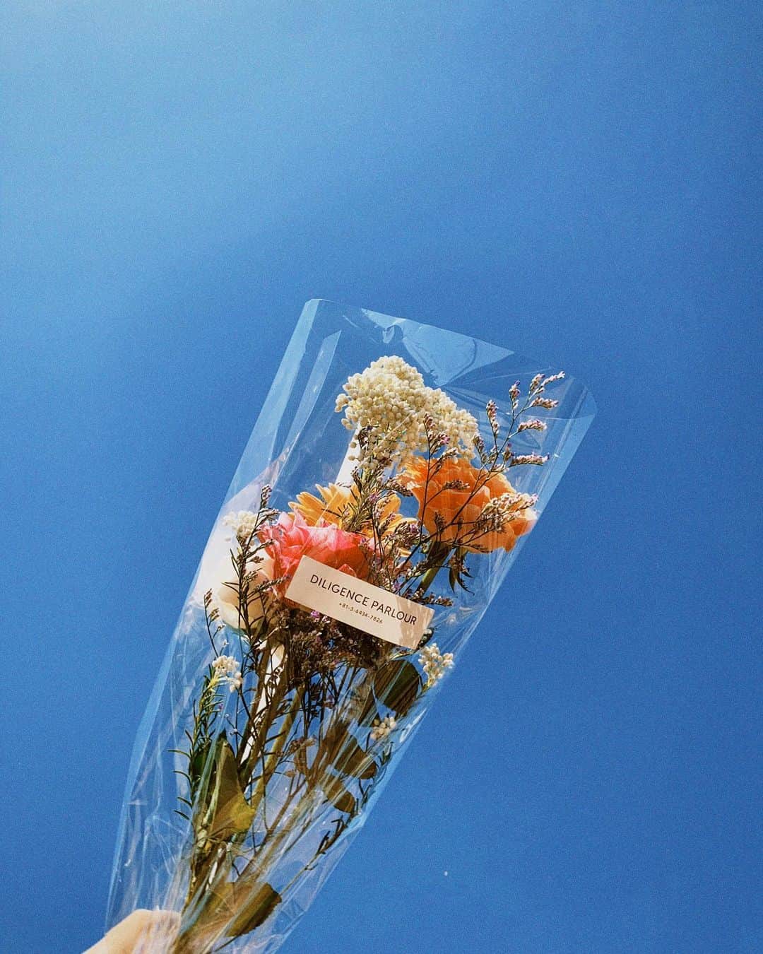 三橋栄香さんのインスタグラム写真 - (三橋栄香Instagram)「💐🌷💐🌷💐  可愛すぎるお花がお家に...嬉🤍🤍」4月9日 12時15分 - haruka_mihashi
