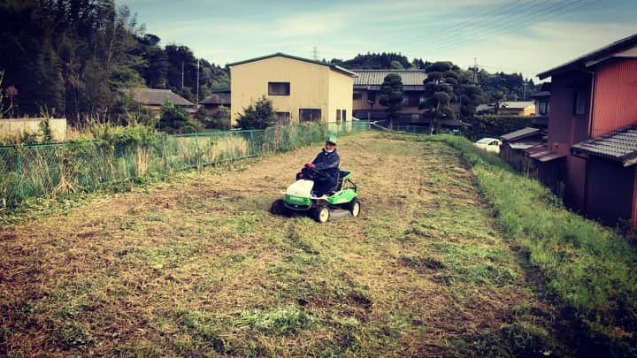 武井ドンゲバビーのインスタグラム：「楽しい事始めれた👨‍🌾 芝刈り機でドンゲバビー  #芝刈り #地ならし」
