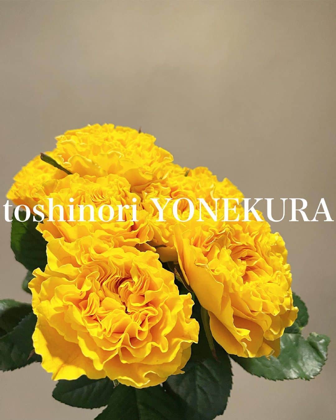 米倉利紀さんのインスタグラム写真 - (米倉利紀Instagram)「memories of green GIRAFFE photo by  tomoki ino #thankyou」6月5日 13時44分 - toshi_yonekura