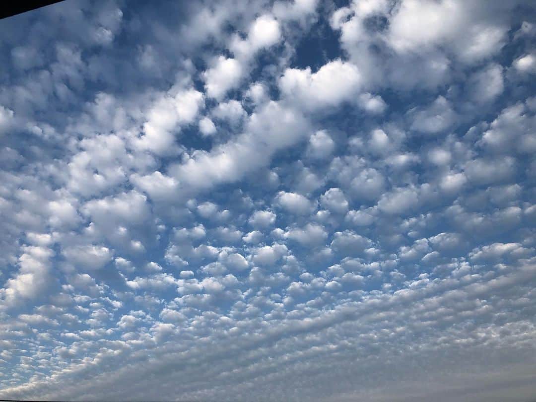 斉藤慶太さんのインスタグラム写真 - (斉藤慶太Instagram)「みなさまおつかれさまです！ 今日の夕方の雲、 何雲って言うのか分からないけど すごくきれいな雲でした☁️ 明日も頑張ろう‼︎‼︎ #雲#くも」6月21日 20時51分 - saito_keita1118