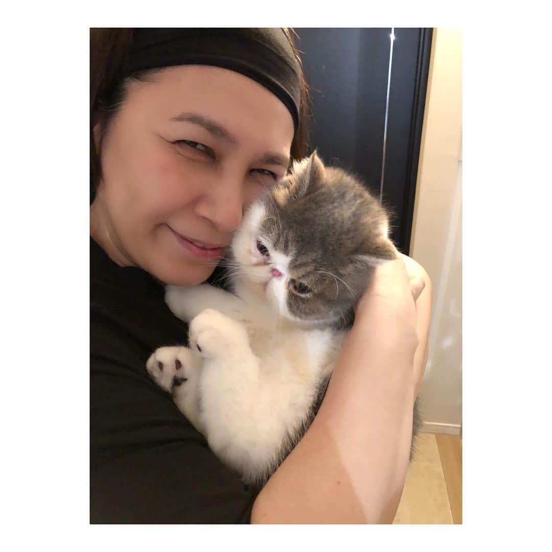 千吉良恵子のインスタグラム：「姪の#千吉良美樹　@chigim  @kotatsu1220  #愛猫 #こたつ #いなり 新しい家族（いなり）に会いに💕 こたつに会うのも久しぶり😍💕大きくなったなあ💕 いなり…ちっちゃい😍💕 たまらない❣️癒しの時間をありがとう」
