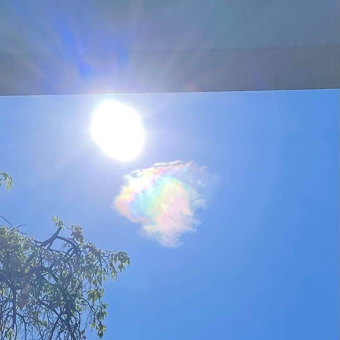望月理恵さんのインスタグラム写真 望月理恵instagram 何気なく撮ったギラギラ太陽の 一枚 太陽の横に虹色のうさぎ に見えませんか ２枚目拡大 いいことありそう いいことありそう と思うことが大事 笑 シェア 彩雲 そして今日は各地で 猛暑でした