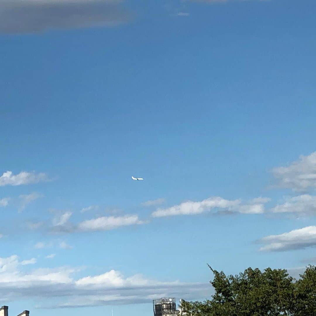 石倉洋子さんのインスタグラム写真 - (石倉洋子Instagram)「見えないかもしれませんが、今日は羽田に着陸しようとする飛行機を数機見ました！」8月10日 16時07分 - yoko.ishikura
