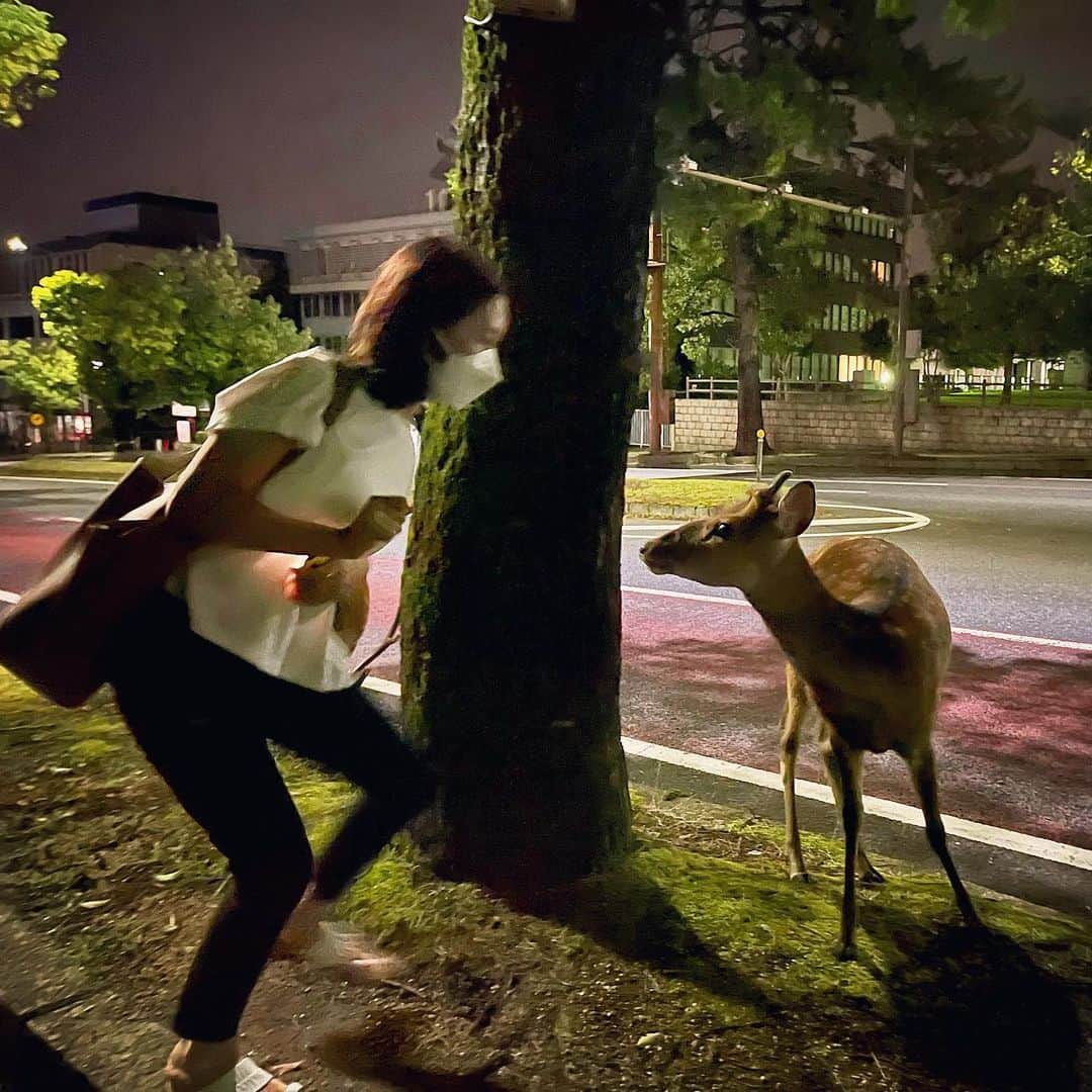 小林愛実のインスタグラム：「鹿と私  #奈良」