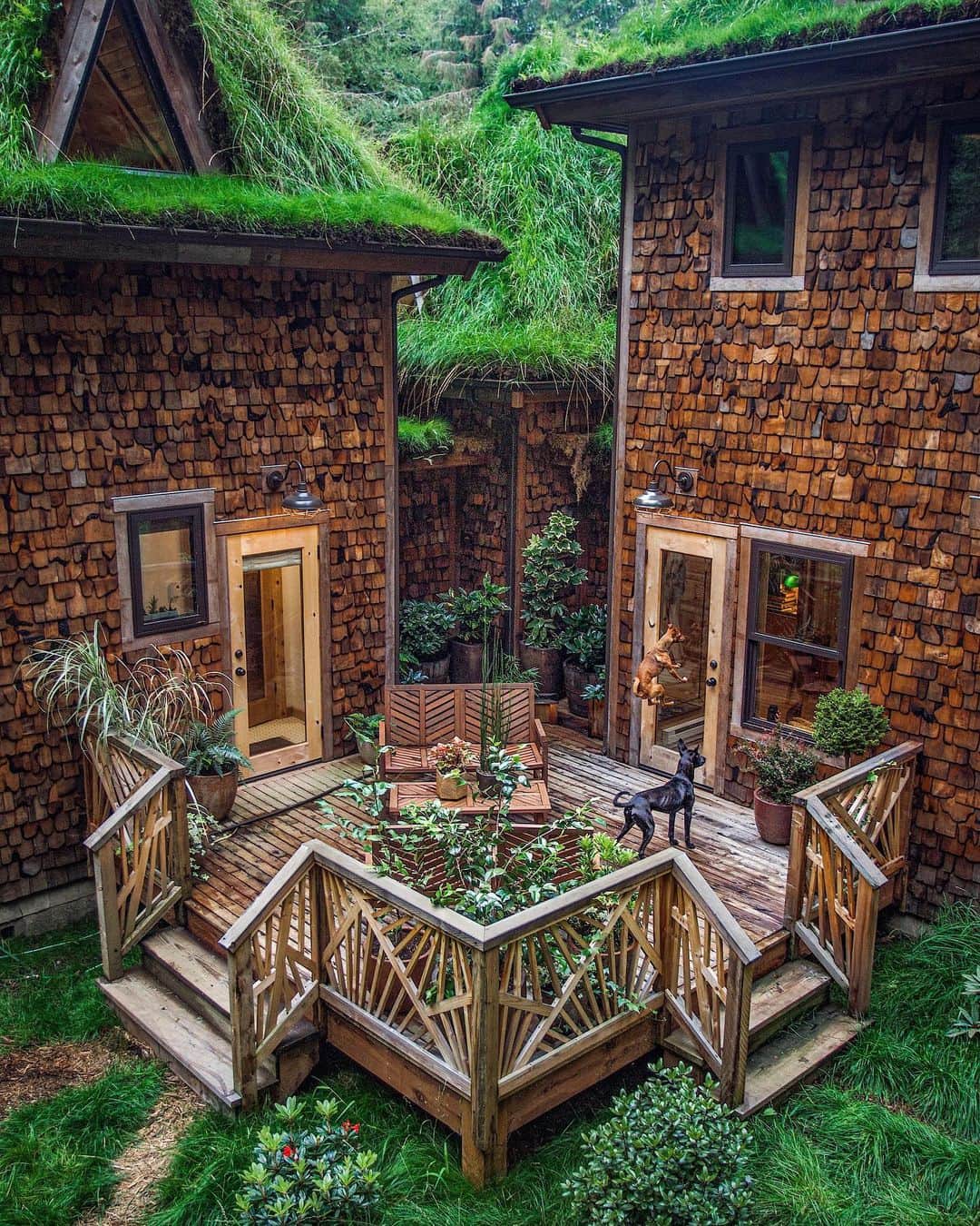 サラ・ジーン・アンダーウッドのインスタグラム：「Check out the back porch of the castle cabin! Also, the pups impatiently waiting to be let in for supper time 😂! I can’t wait for all the plants we got this summer to grow, it’s truly gonna feel like a jungle back here in a couple years! . Cabin by @jacobwitzling & @saraunderwood . #cabin #diy #homedesign #porchdecor #architecture #tinyhouse #pnw」