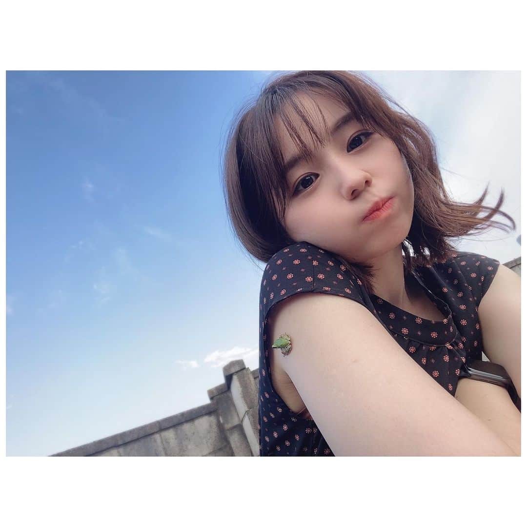 小池里奈さんのインスタグラム写真 - (小池里奈Instagram)「🐸  最近再び夏！って感じのお天気ですね☺️  あついよーう。  地元・栃木県でのお仕事があったのでお墓参りに行ってきました。  カエルがたくさんいたので遊んでもらいました🐸  可愛かった♡ 癒されました☺️」9月24日 18時00分 - koike_rina_93