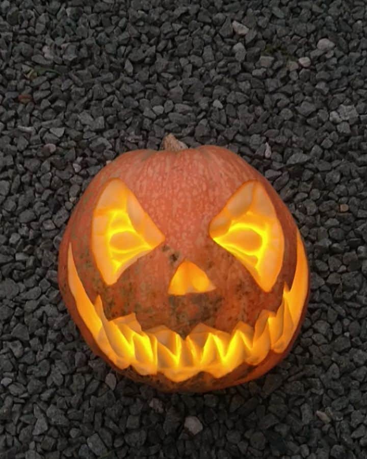 gakuのインスタグラム：「🎃Happy Halloween ジャイアントカボチャは並の懐中電灯では、光が弱いので投光器買って光らせました。  #halloween #happyhalloween #carving #vegetablecarving #vegetable #pumpkin #ベジタブルカービング #カービング #野菜アート #野菜彫刻 #野菜」